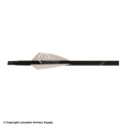 TAC Driver FITA Vane (1.75" 100 Pack) -Bearpaw Shop 1031171 c473576c 832e 4d11 8de3 b9f385cb3f89