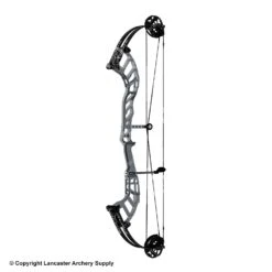 Hoyt Altus 38 Compound Target Bow (HBT)