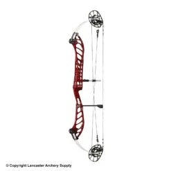 PSE Dominator Duo 38 Compound Target Bow (S2) -Bearpaw Shop 1033085 blackcherry