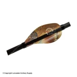 Kurly Vanes -Bearpaw Shop 1090001 autunm