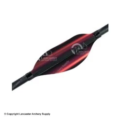 Spider Vanes 1.8" Medium Recurve Vanes -Bearpaw Shop 1240026 red