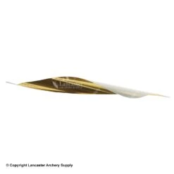 Spider Vanes 2-3/4" Invictus Vanes For Compound -Bearpaw Shop 1240030 gold