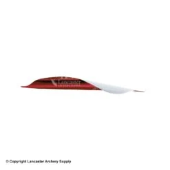 Spider Vanes 2-3/4" Invictus Vanes For Compound -Bearpaw Shop 1240030 red