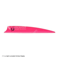 Bohning Bolt Vanes -Bearpaw Shop 1480238 hotpink
