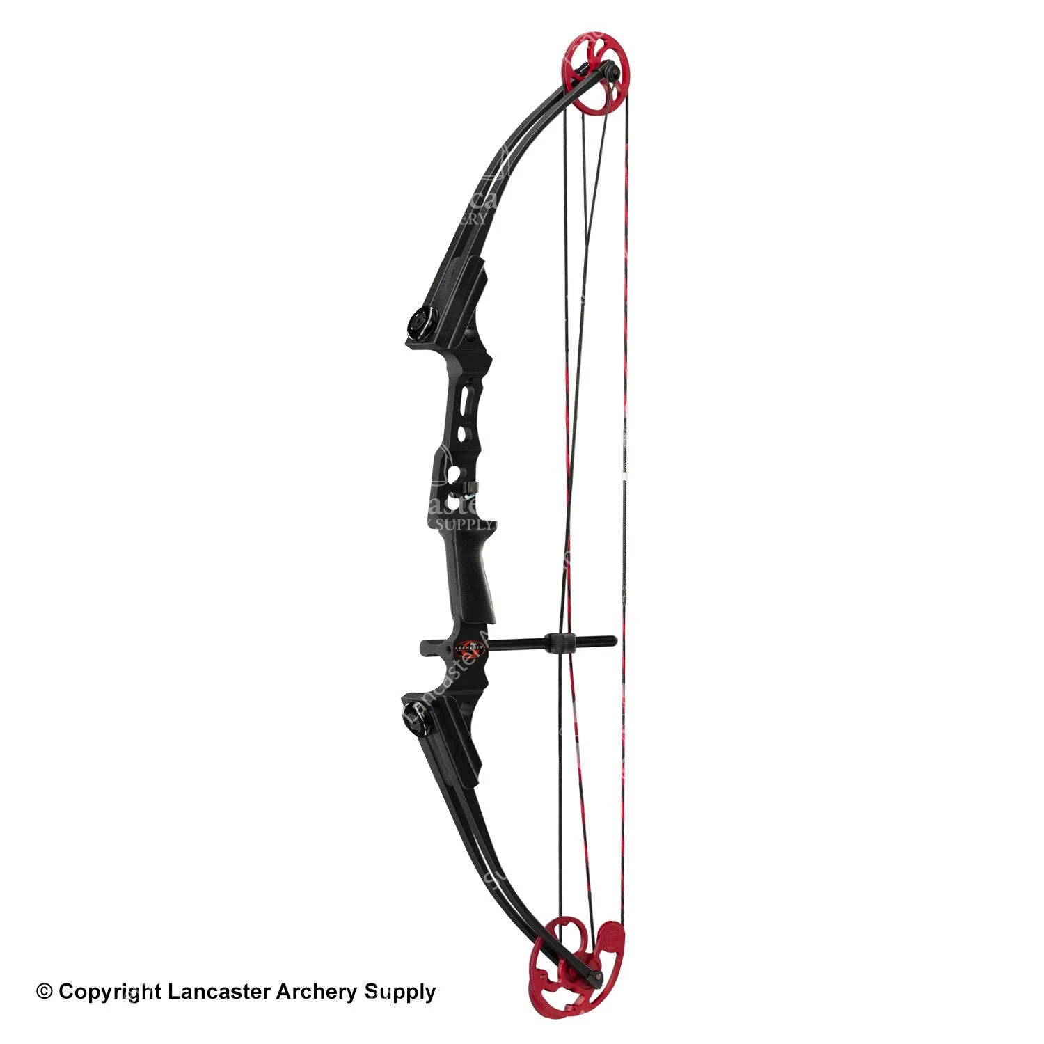 Genesis Archery Mini Genesis Bow (Colors) 2 Genesis Archery Mini Genesis Bow (Colors) - Image 2