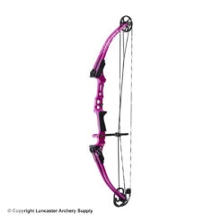 Genesis Archery Mini Genesis Bow (Colors) 9 Genesis Archery Mini Genesis Bow (Colors) -Bearpaw Shop 1570004 purple