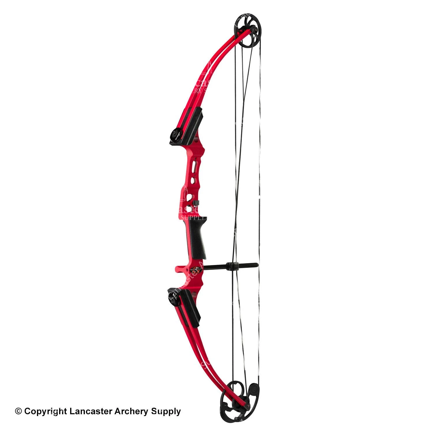 Genesis Archery Mini Genesis Bow (Colors) 1 Genesis Archery Mini Genesis Bow (Colors)