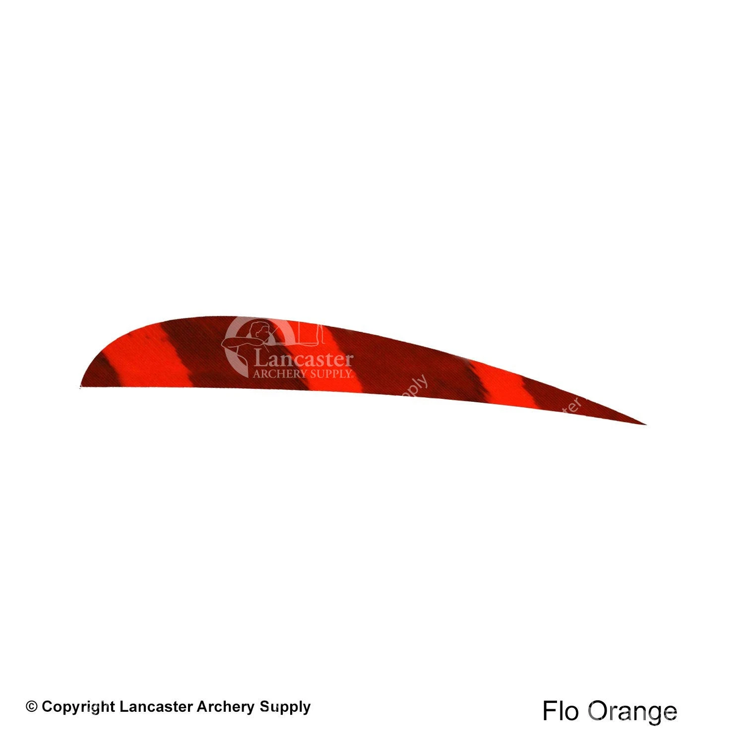 Ozark 3" Parabolic Barred Color Feather 2 Ozark 3" Parabolic Barred Color Feather - Image 2