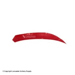 Ozark 4.5" Target Maxx Solid Color Feather 23 Ozark 4.5" Target Maxx Solid Color Feather -Bearpaw Shop 1610009 hoyt red