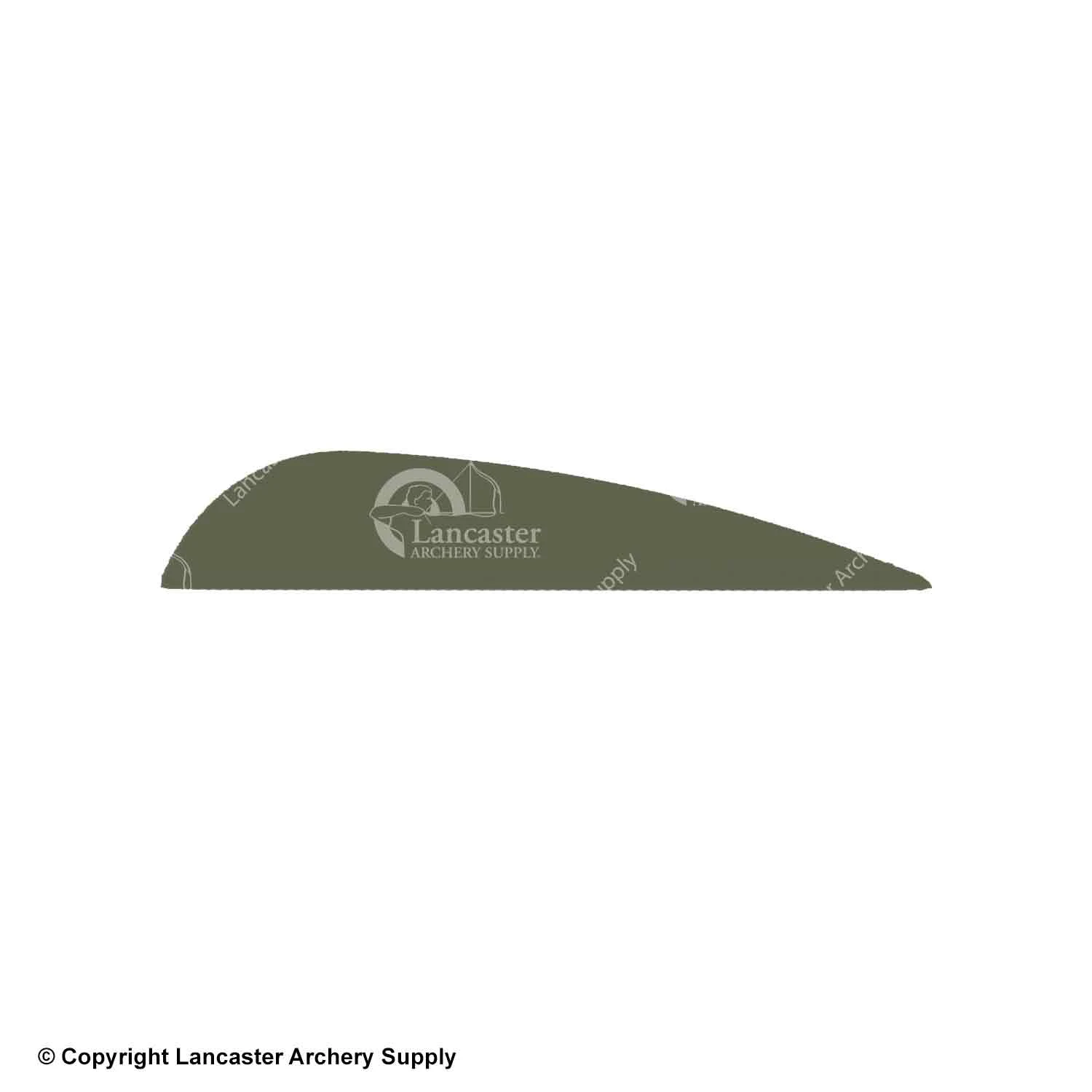 AAE Elite Plastifletch Vanes (EP-26) 11 AAE Elite Plastifletch Vanes (EP-26) - Image 11