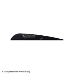 AAE TRAD Vane -Bearpaw Shop 1790224 black 40