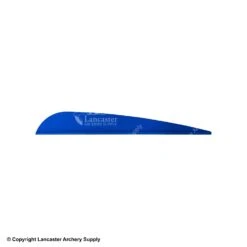 AAE TRAD Vane -Bearpaw Shop 1790224 blue 40