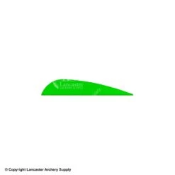 AAE TRAD Vane -Bearpaw Shop 1790224 britegreen 26