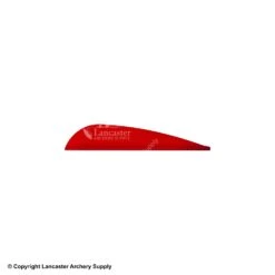 AAE TRAD Vane -Bearpaw Shop 1790224 red 26