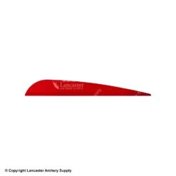 AAE TRAD Vane -Bearpaw Shop 1790224 red 40