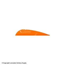 AAE TRAD Vane -Bearpaw Shop 1790224 ssgold 26