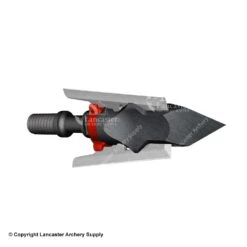 Front Page -Bearpaw Shop 2240137 closed