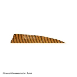 Gateway 4" Shield Barred Feather 12 Gateway 4" Shield Barred Feather -Bearpaw Shop 2270003 brown