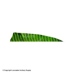 Gateway 4" Shield Barred Feather 11 Gateway 4" Shield Barred Feather -Bearpaw Shop 2270003 chartreuse