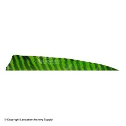Gateway 5" Shield Barred Feather -Bearpaw Shop 2270004 chartreuse