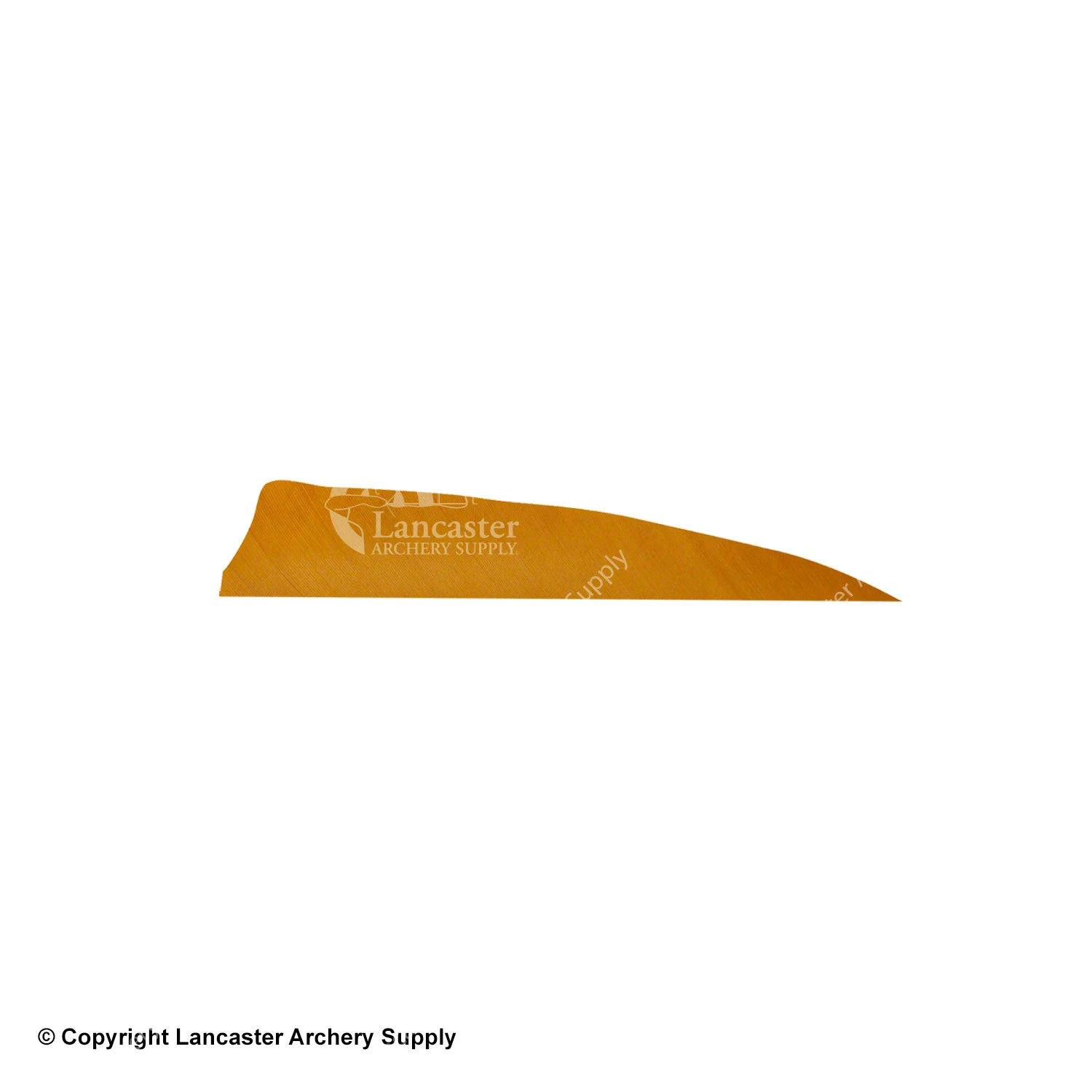 Gateway 4" Shield Feather 4 Gateway 4" Shield Feather - Image 4