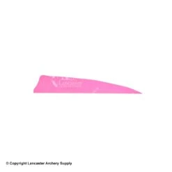 Gateway 4" Shield Feather 24 Gateway 4" Shield Feather -Bearpaw Shop 2270007 pink