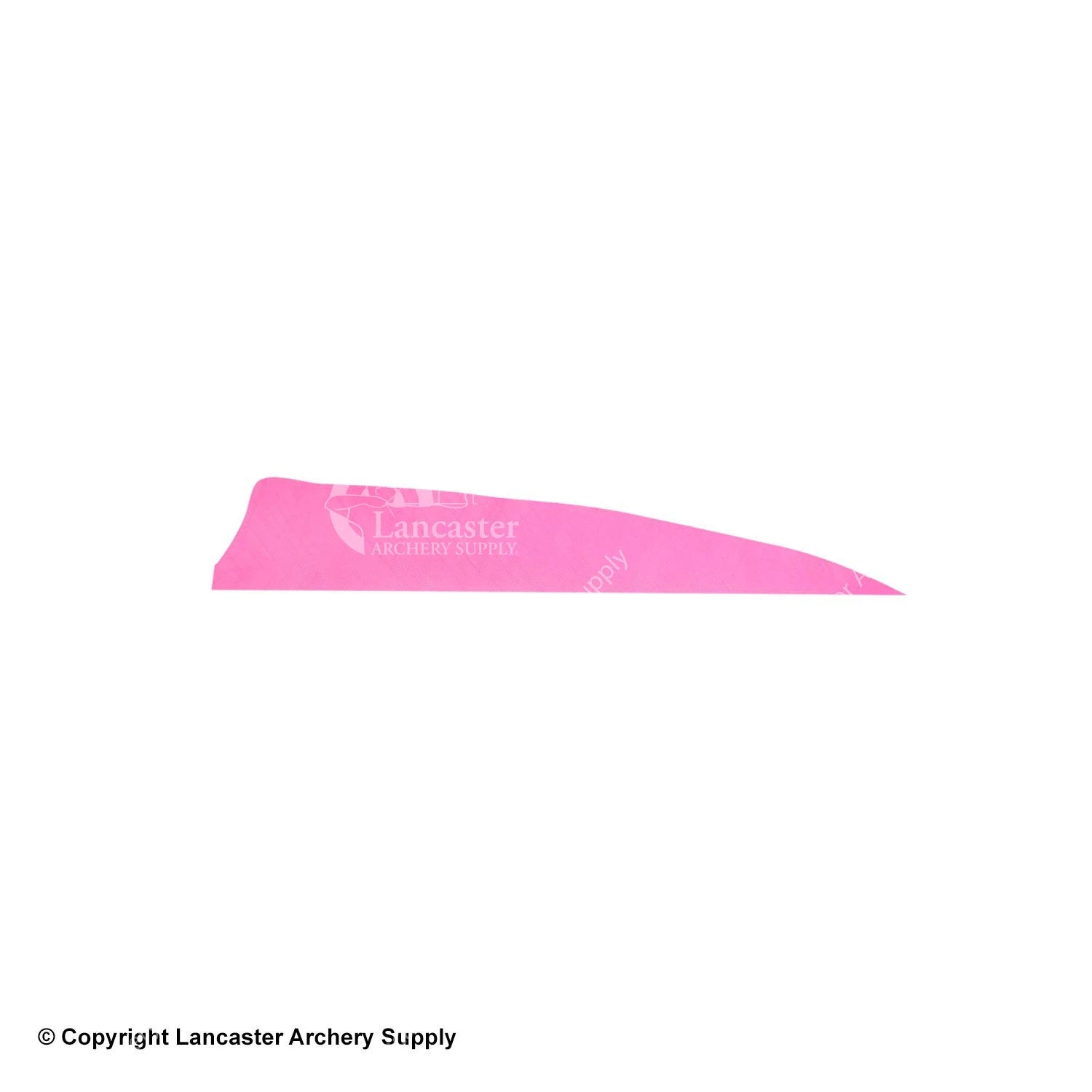 Gateway 4" Shield Feather 9 Gateway 4" Shield Feather - Image 9