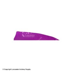 Gateway 4" Shield Feather 31 Gateway 4" Shield Feather -Bearpaw Shop 2270007 purple