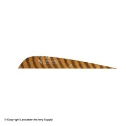 Gateway 5" Parabolic Barred Feather -Bearpaw Shop 2270013 brown