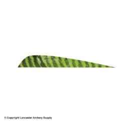 Gateway 5" Parabolic Barred Feather -Bearpaw Shop 2270013 chartreuse
