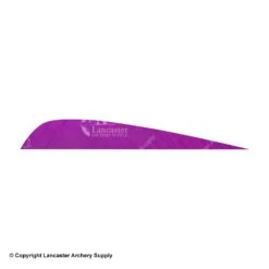 Gateway 4" Parabolic Feather -Bearpaw Shop 2270027 purple