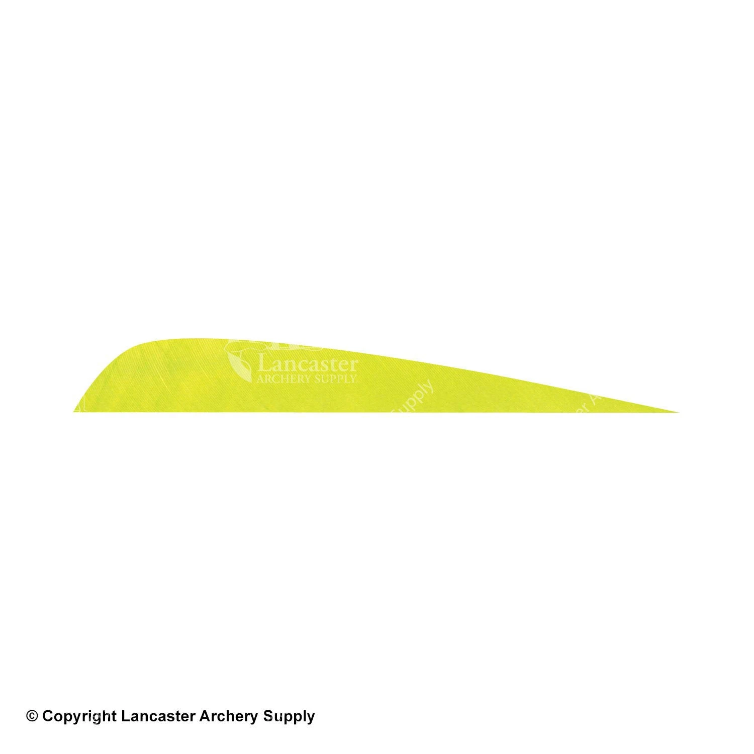 Gateway 5" Parabolic Feather 14 Gateway 5" Parabolic Feather - Image 14