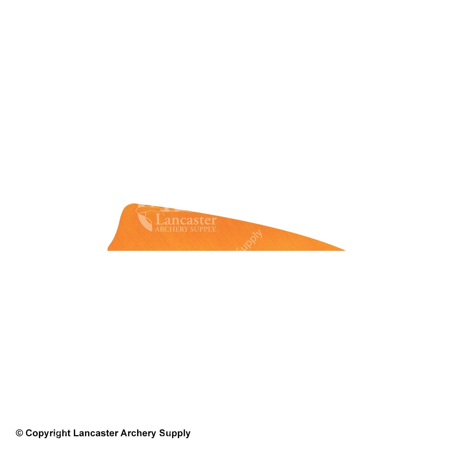 Gateway 3" Shield Feather 8 Gateway 3" Shield Feather - Image 8