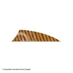Gateway 2" Rayzr Barred Feather (Left Wing) -Bearpaw Shop 2270061 brown
