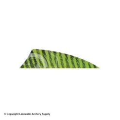Gateway 2" Rayzr Barred Feather (Left Wing) -Bearpaw Shop 2270061 chartreuse