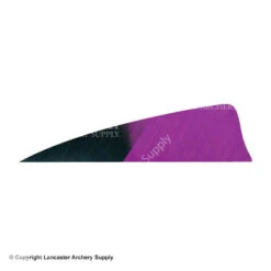 Gateway 3" Shield Hann-Bun Kuro Feather -Bearpaw Shop 2270075 purple