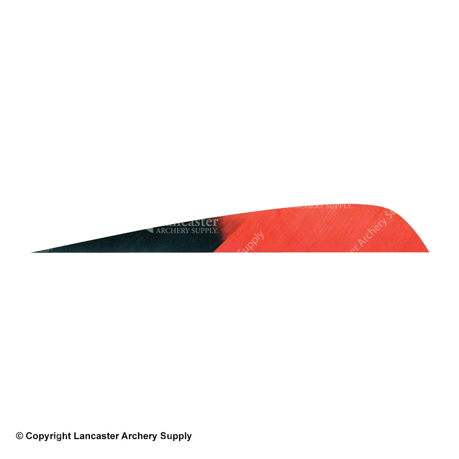 Gateway 5" Parabolic Hann-Bun Kuro Feather 2 Gateway 5" Parabolic Hann-Bun Kuro Feather - Image 2