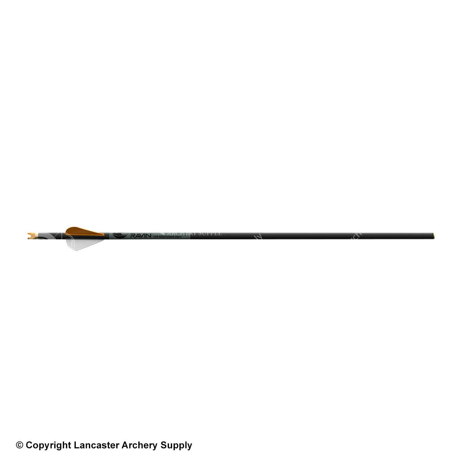 Ravin R500 Arrows 6 Pack (.003) 1 Ravin R500 Arrows 6 Pack (.003)