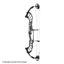 2020 Hoyt Invicta 40 Compound Target Bow (DCX Cam & 1/2) -Bearpaw Shop 2561041 slate
