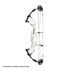2020 Hoyt FX Comp Compound Target Bow (DCX Cam & 1/2) -Bearpaw Shop 2561043 silver