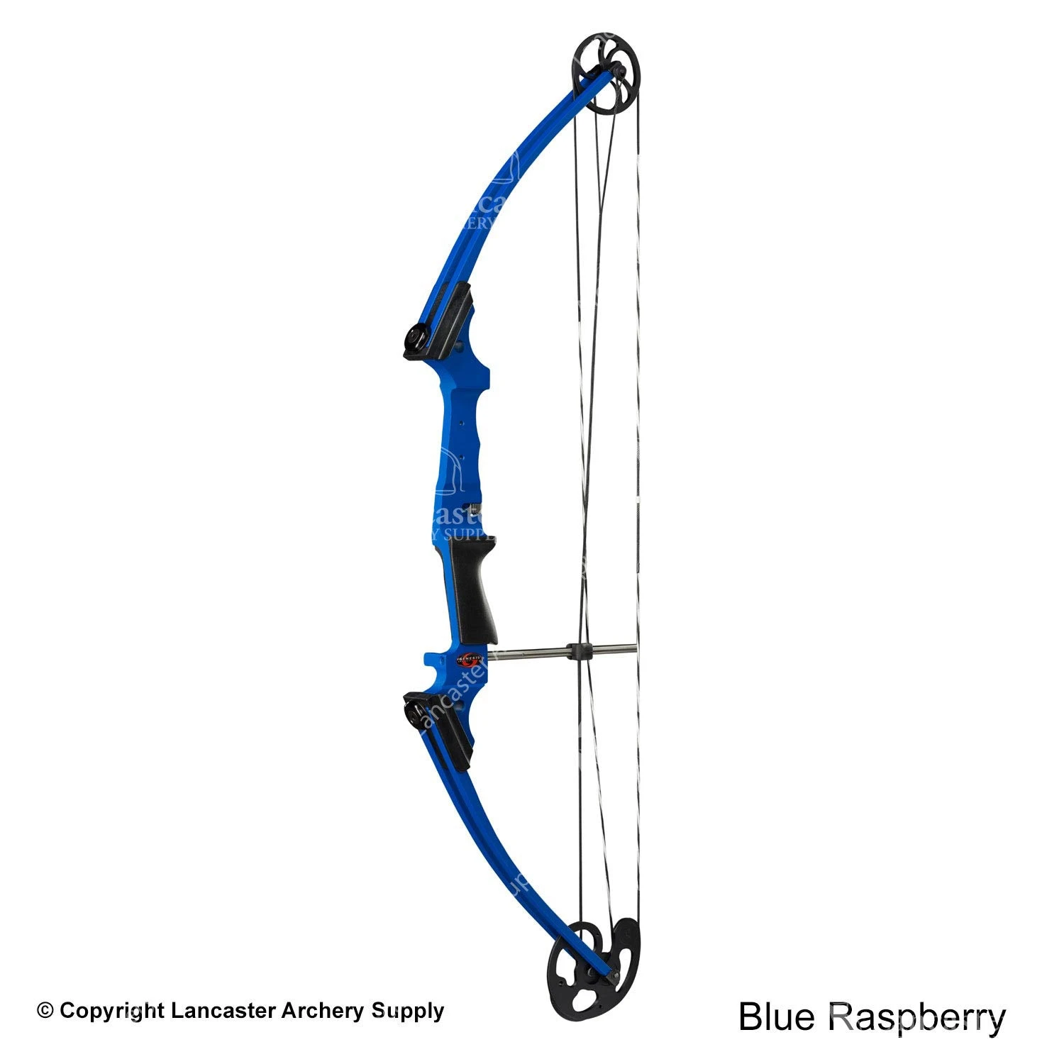 Genesis Archery Original Genesis Bow (Colors) 5 Genesis Archery Original Genesis Bow (Colors) - Image 5