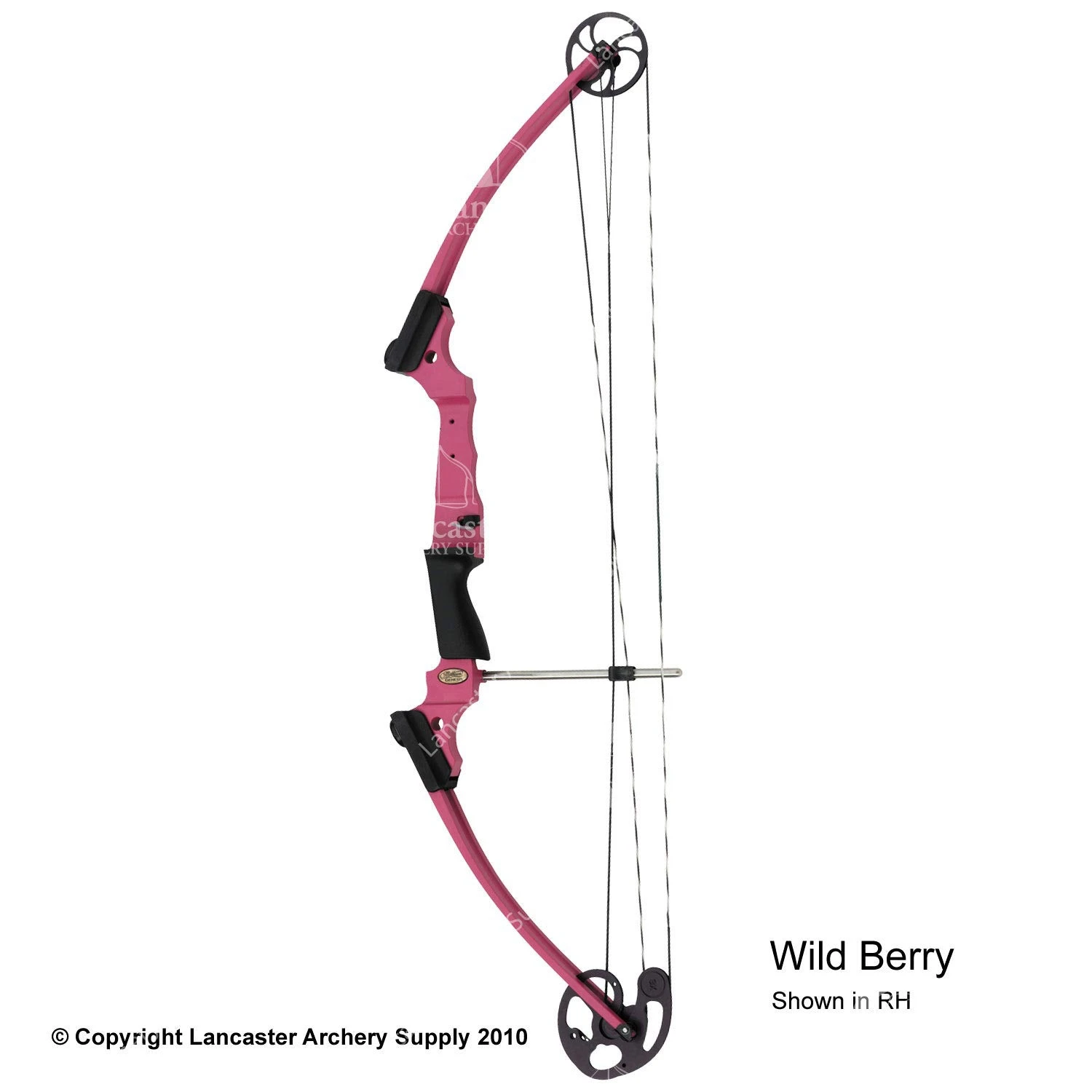 Genesis Archery Original Genesis Bow (Colors) 6 Genesis Archery Original Genesis Bow (Colors) - Image 6