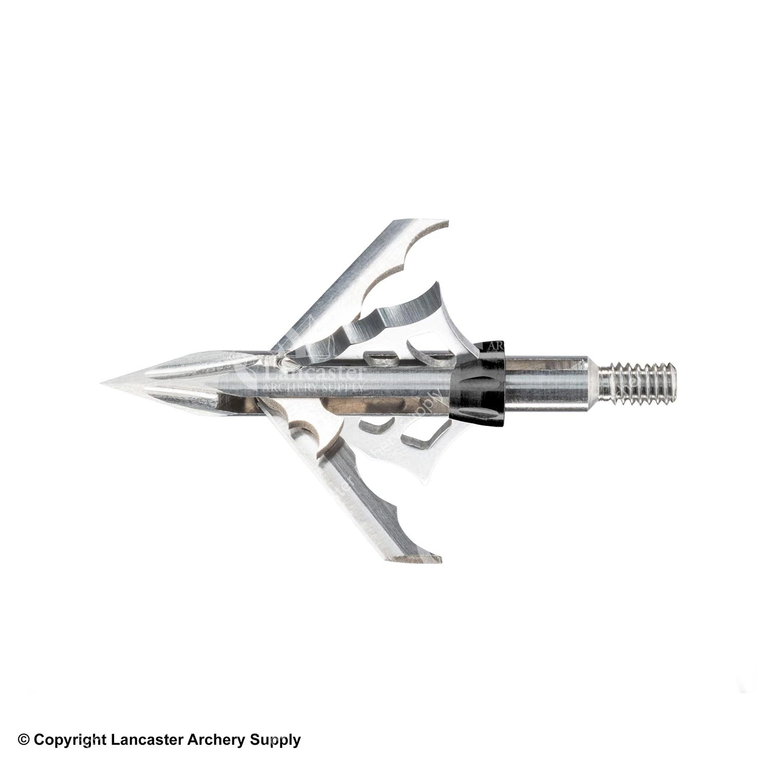 Muzzy HB-TI Broadheads 1 Muzzy HB-TI Broadheads