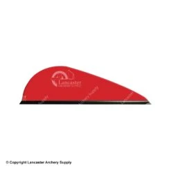 Q2i Predator-X Vanes -Bearpaw Shop 3350039 red 23391f0a 8b4f 4c3e b63a 287e512d0e84