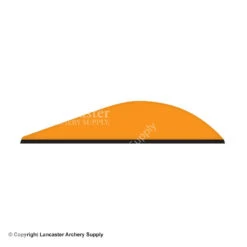 Q2i Griff-X 3" Vanes -Bearpaw Shop 33500490401