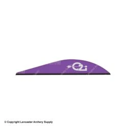 Q2i Griff-X 3" Vanes -Bearpaw Shop 3530049 purple