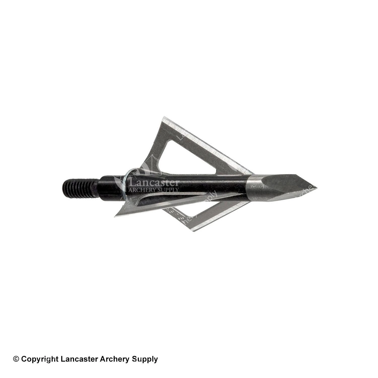 Wasp Hammer SST 100gr. Broadheads 1 Wasp Hammer SST 100gr. Broadheads