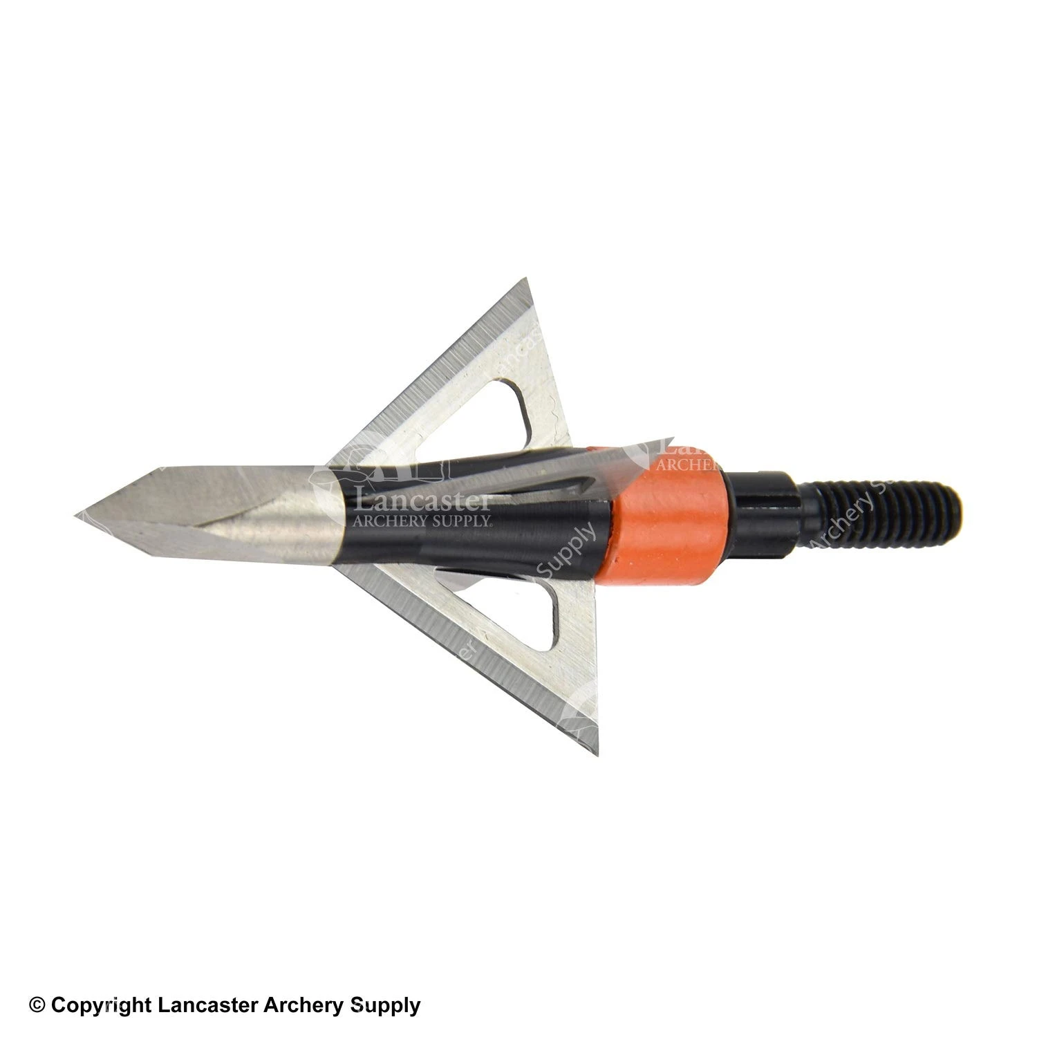Wasp Dart Broadheads 1 Wasp Dart Broadheads