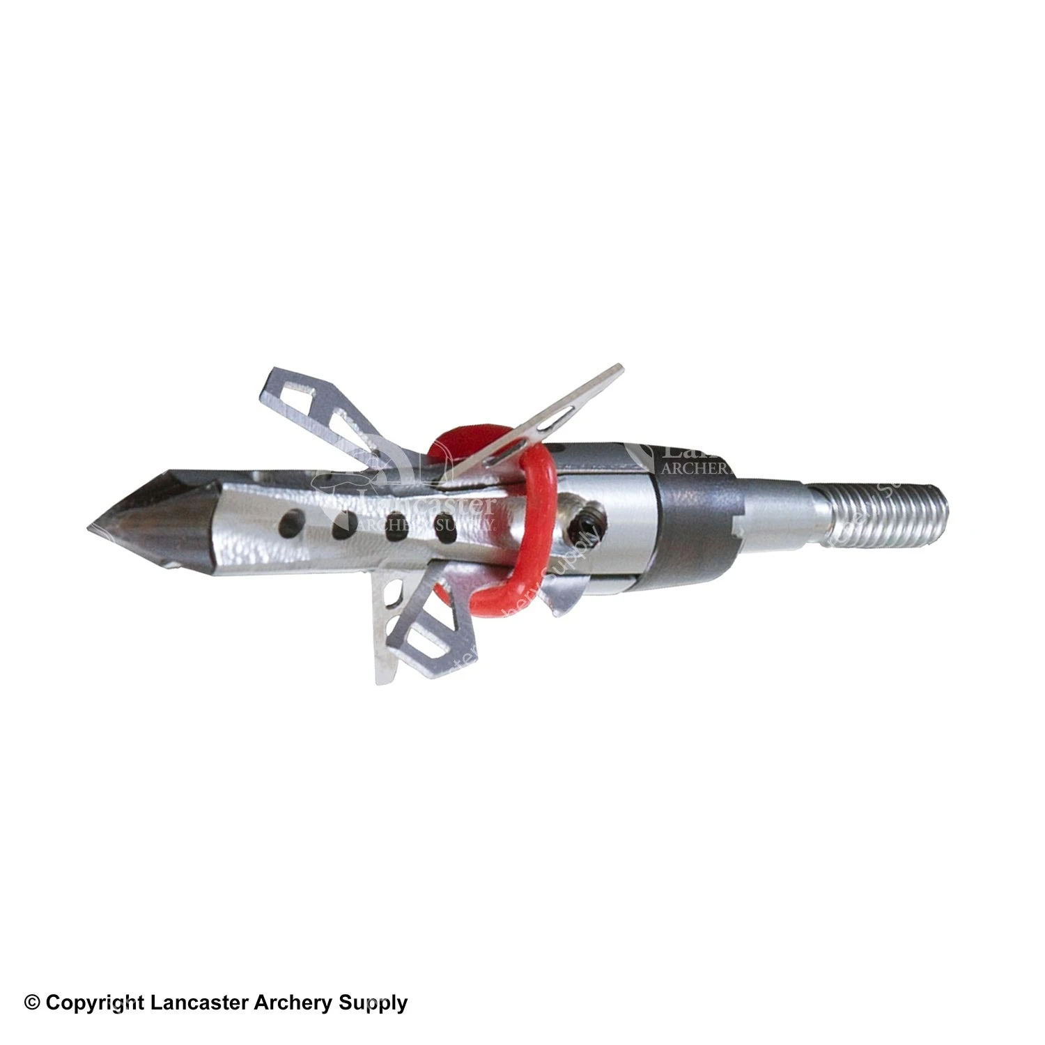 Front Page -Bearpaw Shop 5060101 closed