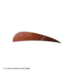 Trueflight 3" RW Round Back Feather 22 Trueflight 3" RW Round Back Feather -Bearpaw Shop 5200003 autumn brown 88f393f0 d591 46b8 9ca2 0021ab51495f